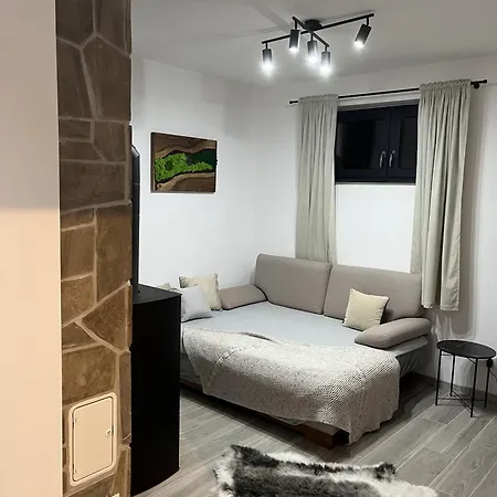 Barvinok Chalet *