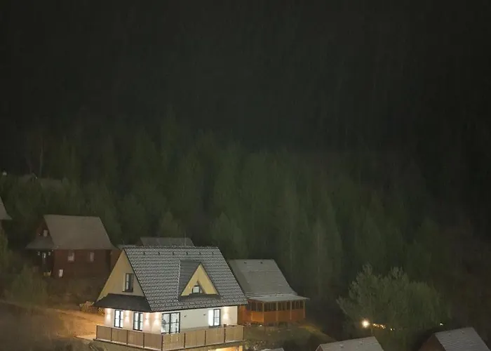 Barvinok Chalet *