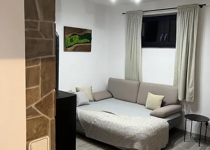 Barvinok Chalet *